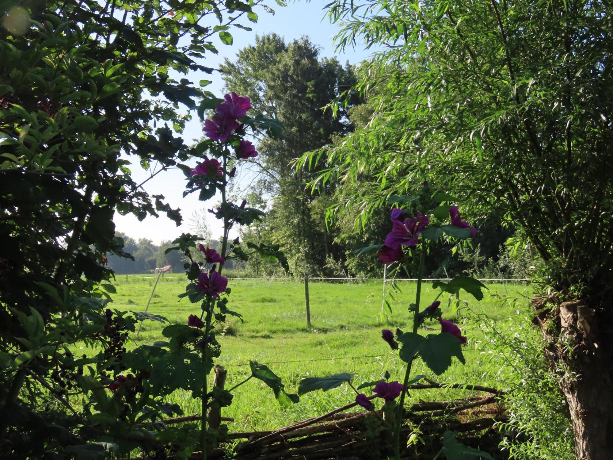 B&B De Pinguin Bergentheim Exteriér fotografie